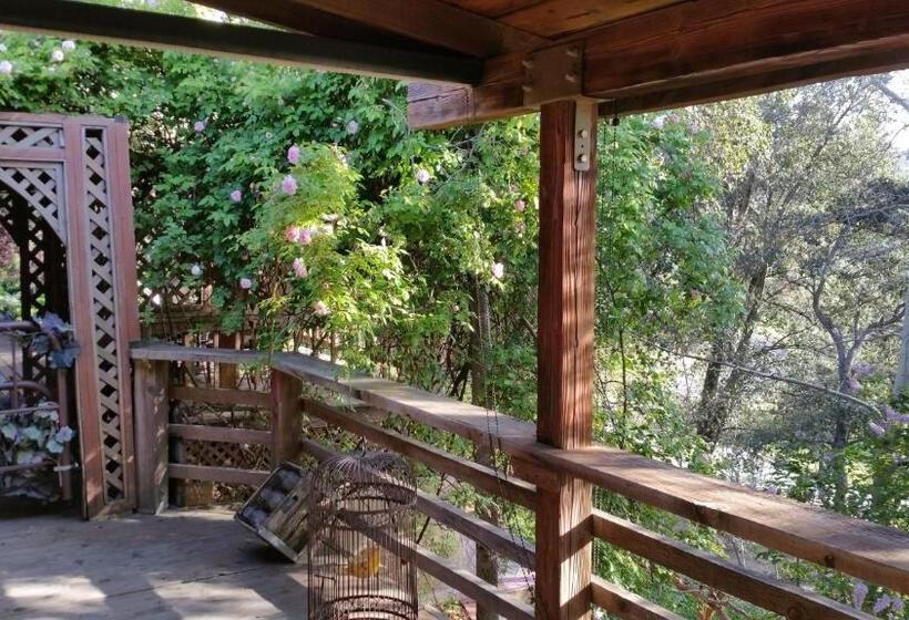 חדר סטנדרט עם ג'קוזי, Wikiup Hummingbird