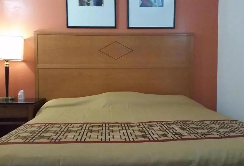 キングサイズベッドのスタンダードルーム, Flamingo Motel