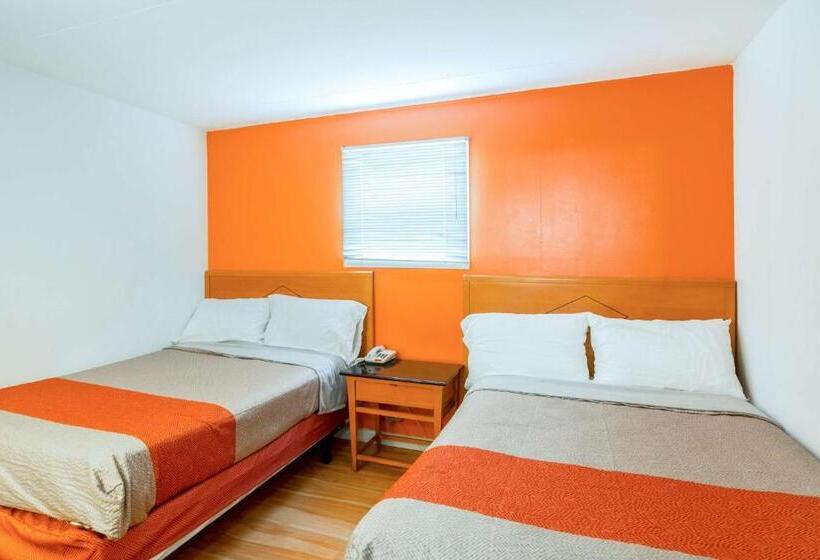 스위트, Flamingo Motel