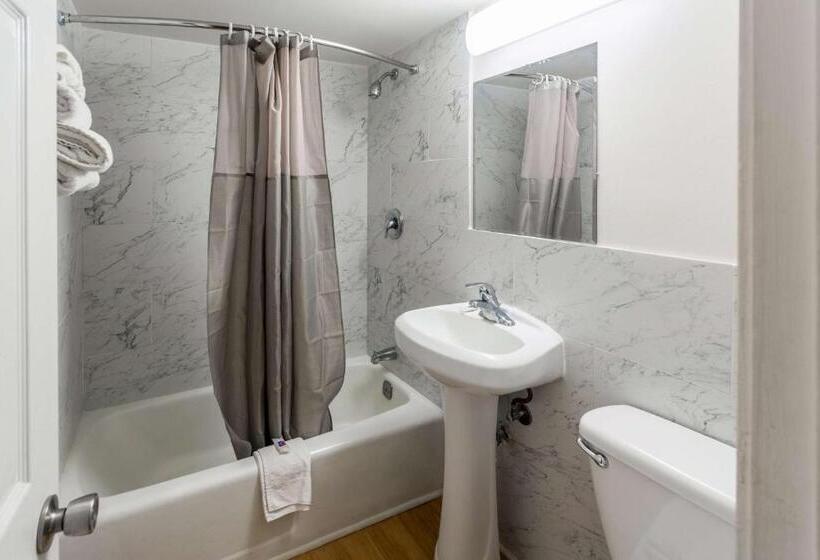 جناح, Flamingo Motel