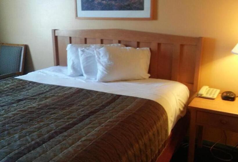 Номер Deluxe Одноместный, Budget Inn Sterling