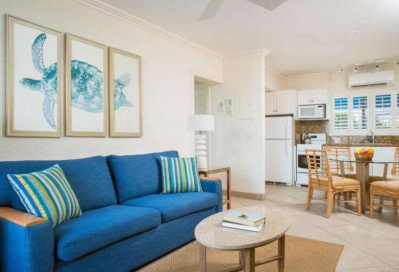 带1个卧室的带海景的公寓, High Noon Beach Resort