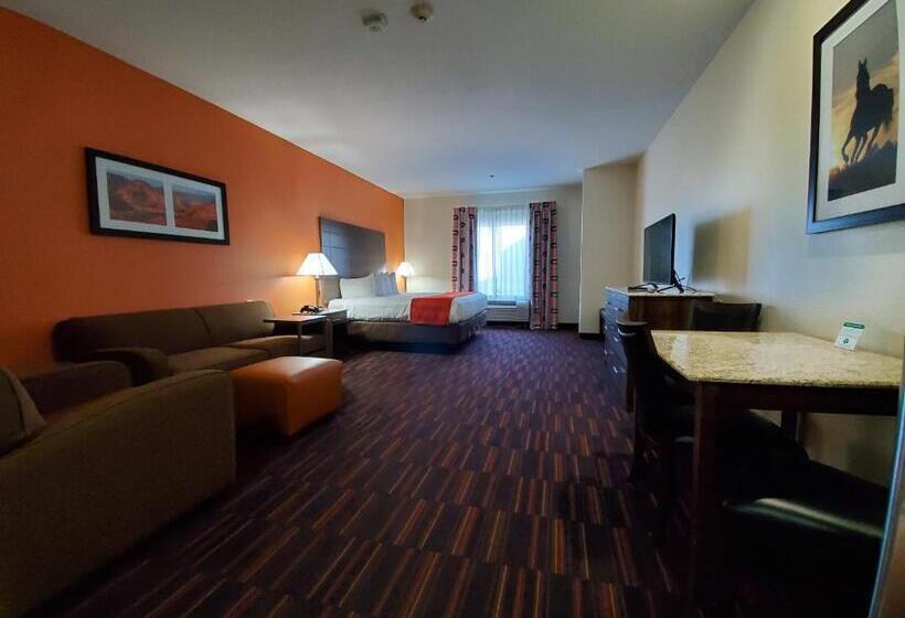 סטודיו סטנדרט, מיטה זוגית, Home Away Kitchen Suites Enid