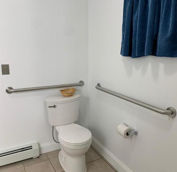 غرفة قياسية لذوى الاحتياجات الخاصة, Brookside Inn & Cottages