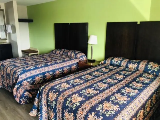 スタンダードルーム, Flamingo Beach Inn