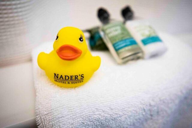 חדר דחוקס עם מיטת קינג, Nader S Motel & Suites