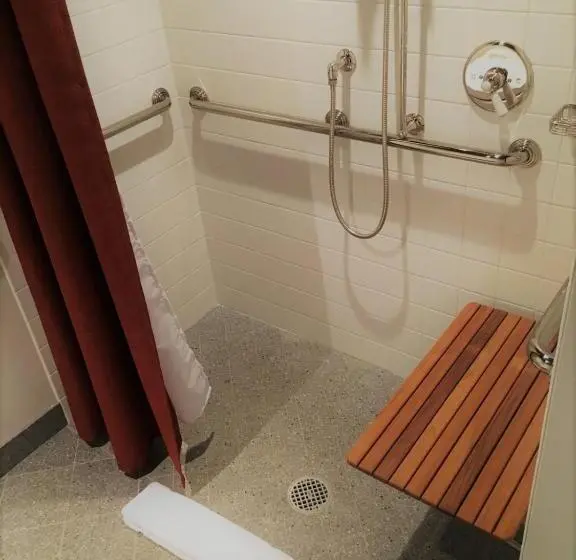 اتاق استاندارد با تخت بزرگ برای معلولان, The Robey, Chicago, A Member Of Design Hotels