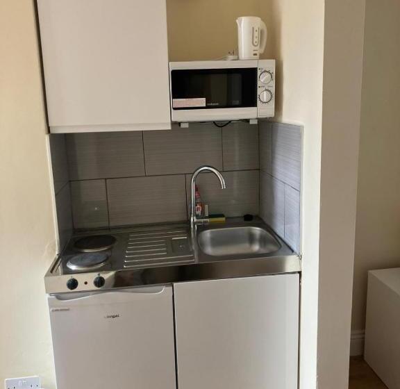 Standart Tek Kişilik Oda, Specious Studio Flats