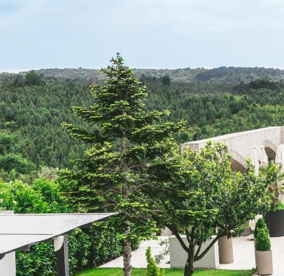 キングサイズベッドのスタンダードルーム, Parma Sole