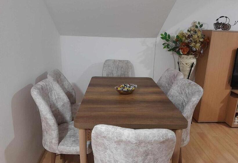 اتاق خانوادگی, Goshevski Apartment