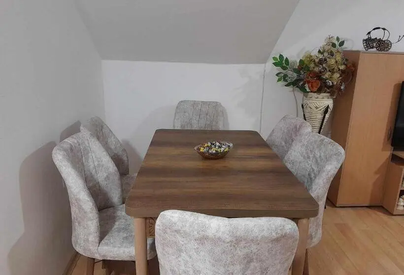 اتاق خانوادگی, Goshevski Apartment