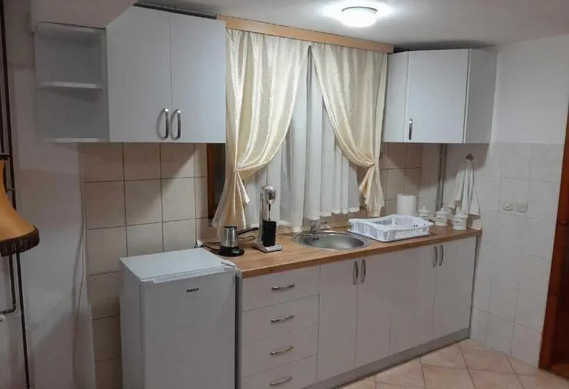 اتاق خانوادگی, Goshevski Apartment