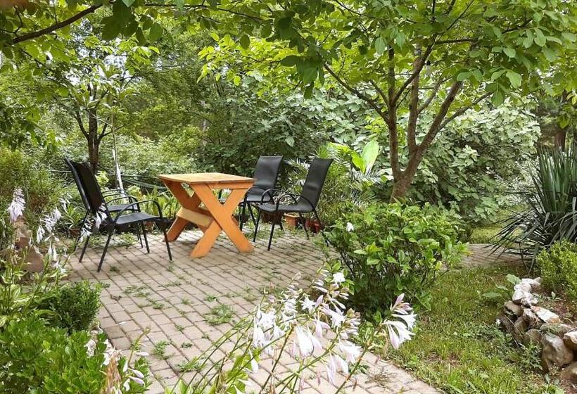 تختخواب در اتاق مشترک, Coworking & Coliving Gumbrini