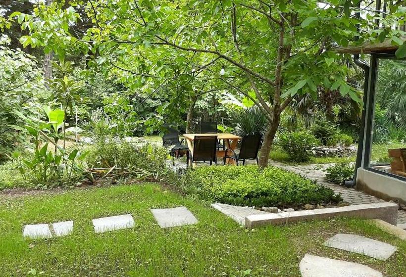 تختخواب در اتاق مشترک, Coworking & Coliving Gumbrini