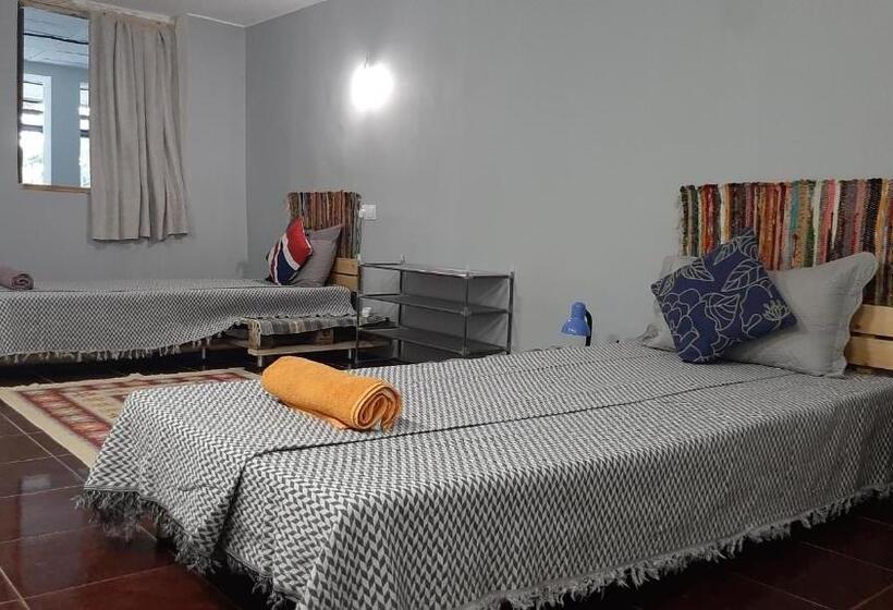 تختخواب در اتاق مشترک, Coworking & Coliving Gumbrini