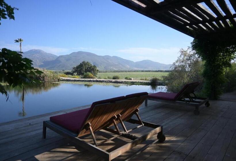 スーペリアースイート, Bruma Wine Resort