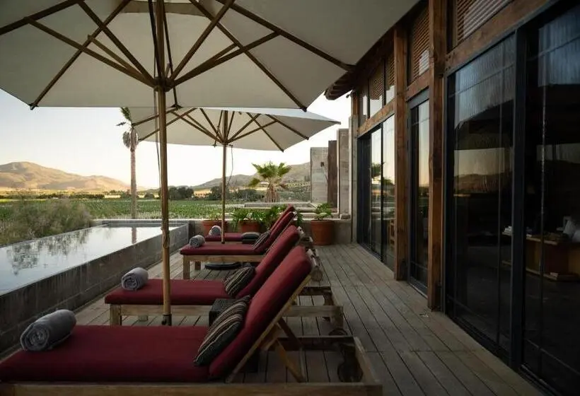 スーペリアースイート, Bruma Wine Resort