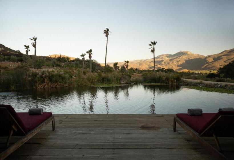 スーペリアースイート, Bruma Wine Resort