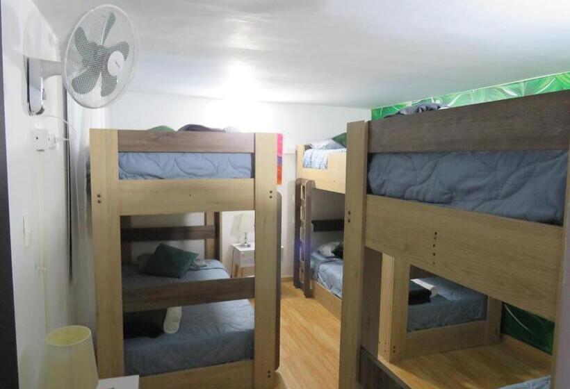 سرير فى غرفة مشتركه, Albore Hostel Pereira