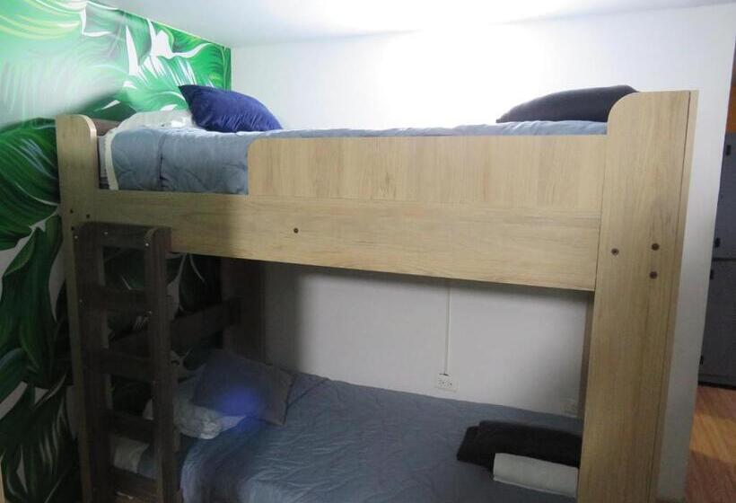 تختخواب در اتاق مشترک, Albore Hostel Pereira