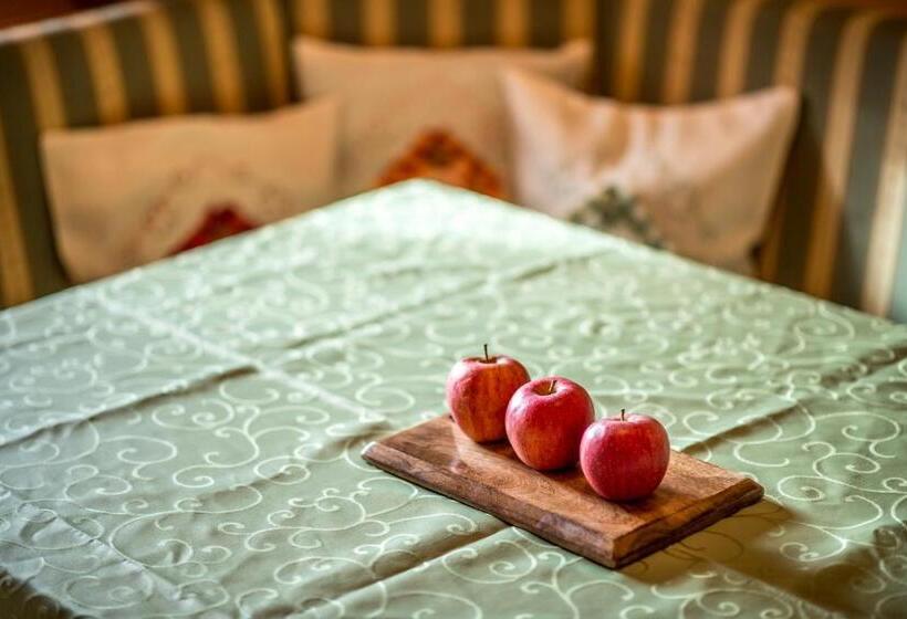 标准工作室, Maierhof