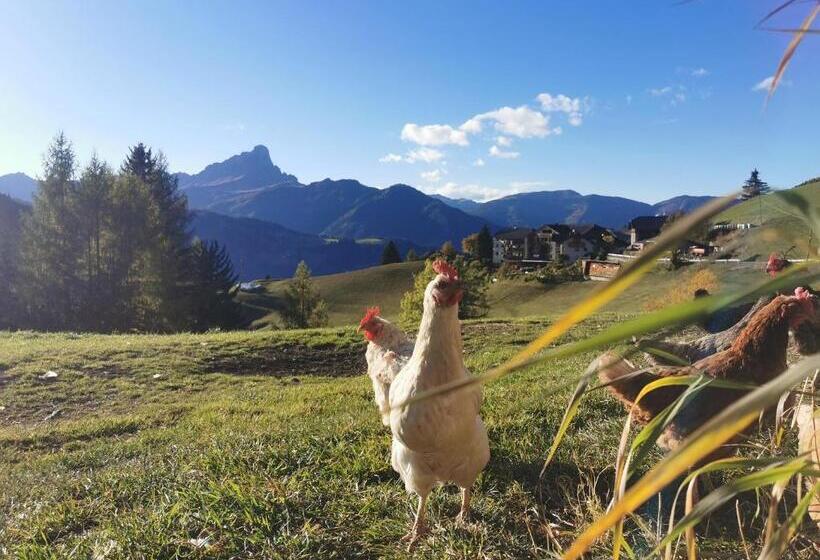 高级工作室, Maierhof