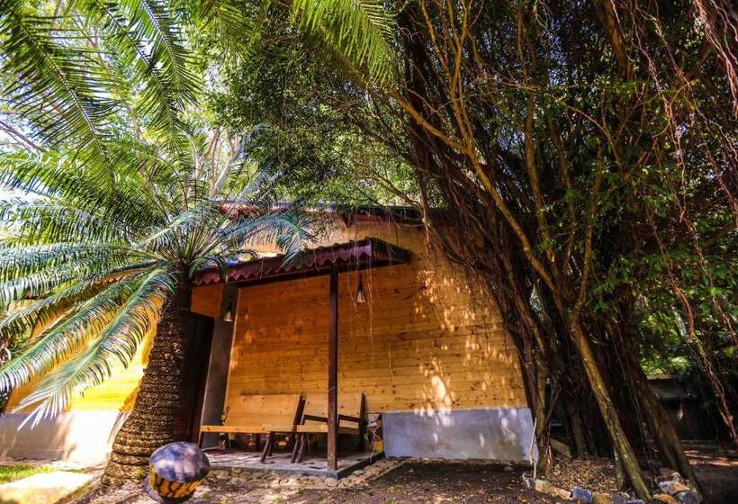 패밀리 스위트, Beverly Hill Cabanas Hikkaduwa