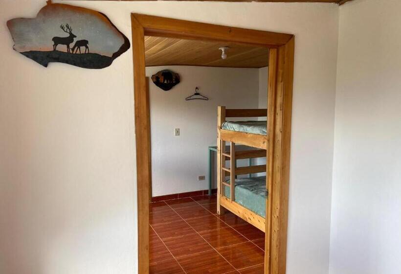 Номер Стандарт, Güicani Hostel