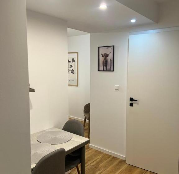 스탠다드 싱글 룸, Alpha Rooms