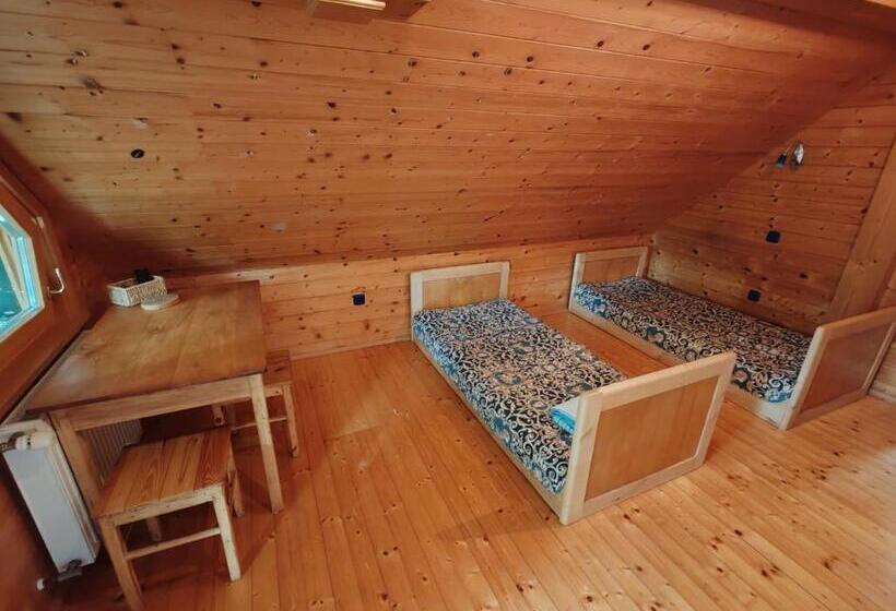 标准间带阳台, Room Janez