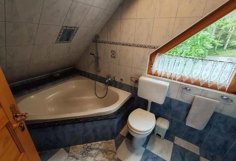 Номер Стандарт с Балконом, Room Janez