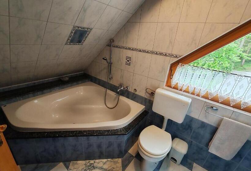 标准间带阳台, Room Janez