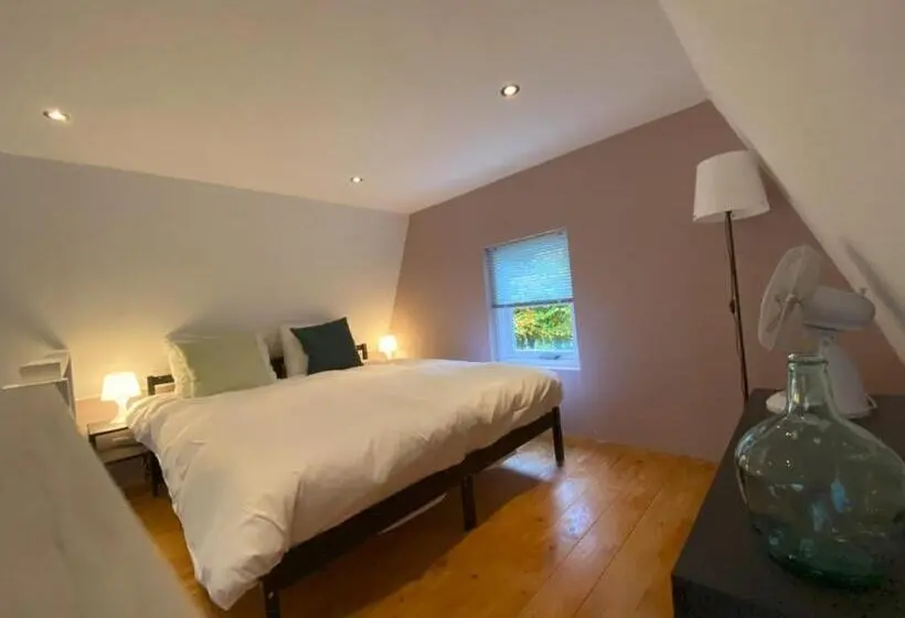 スタンダードスタジオ, B&b In De Aap Gelogeerd