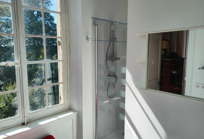 غرفة قياسية, Château D Agy