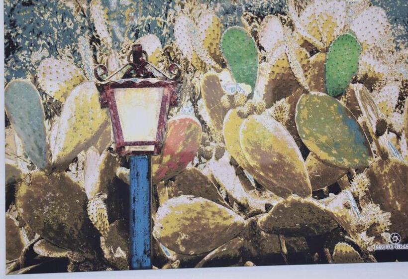 اتاق سوپریور چهار تخته, Agriturismo Il Ranch