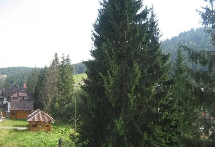 Suite Junior, Home