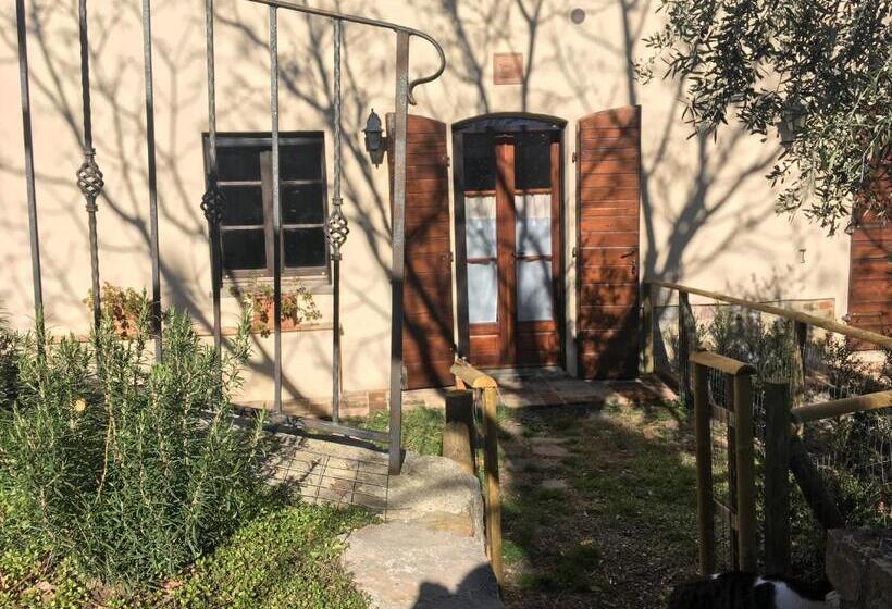 חדר סופריור, La Banditaccia