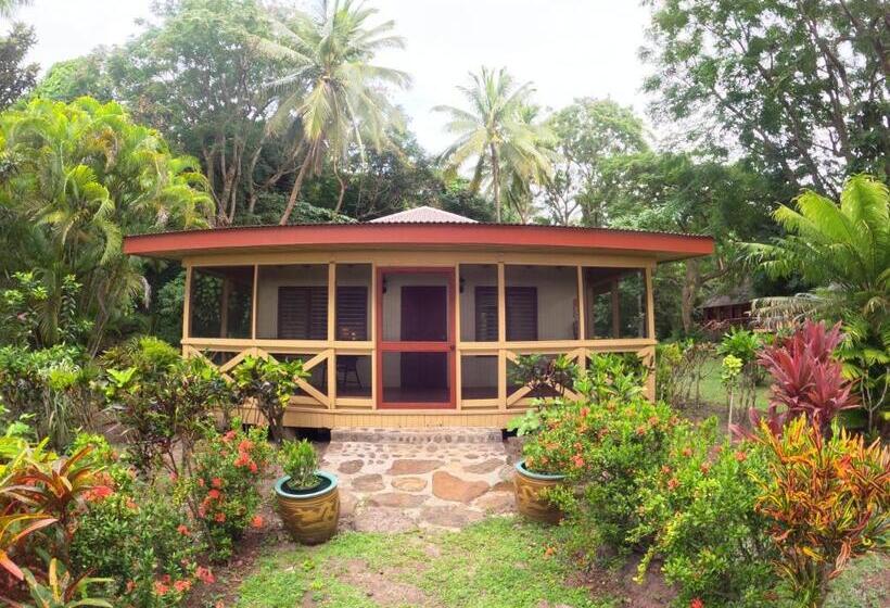 בקתת סופריור בת חדר 1, Papageno Resort & Dive