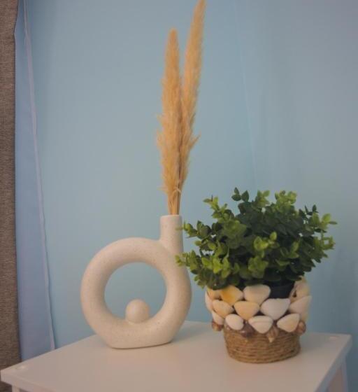 디럭스 방갈로, Halta Pescăruş Accommodation