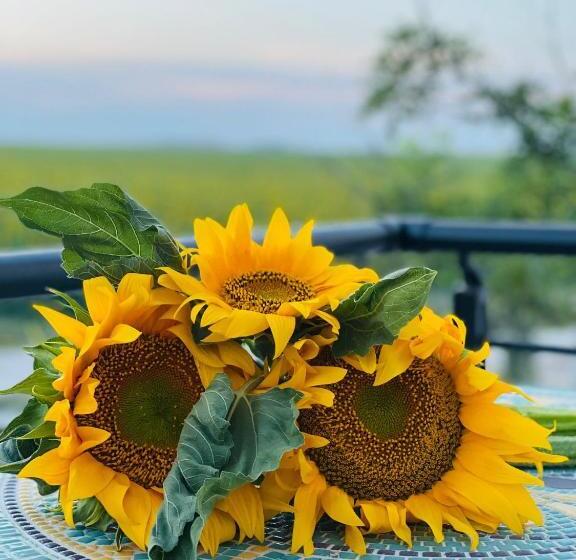 스탠다드 트리플 발코니 룸, Halta Pescăruş Accommodation