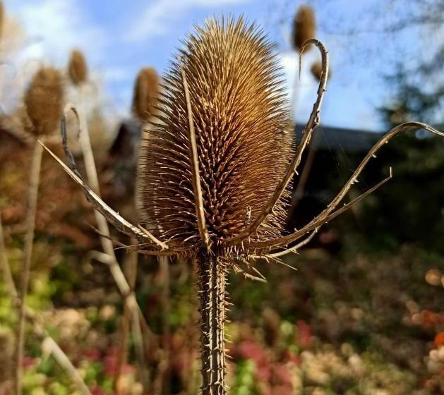 带阳台标准四人间, Pensiony A Ubytování V Kempu Indiana