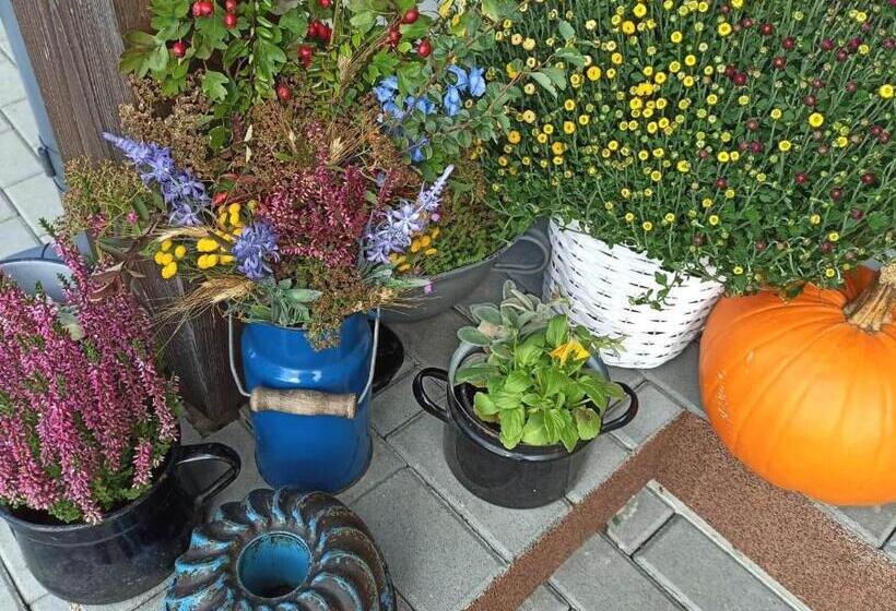 带2个卧室的公寓, Pensiony A Ubytování V Kempu Indiana