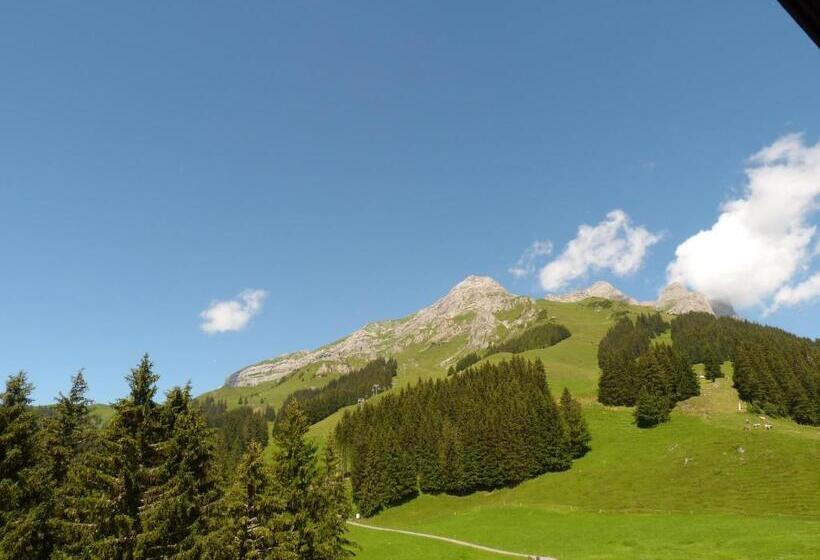 جناح جونيور, Berglodge Ristis