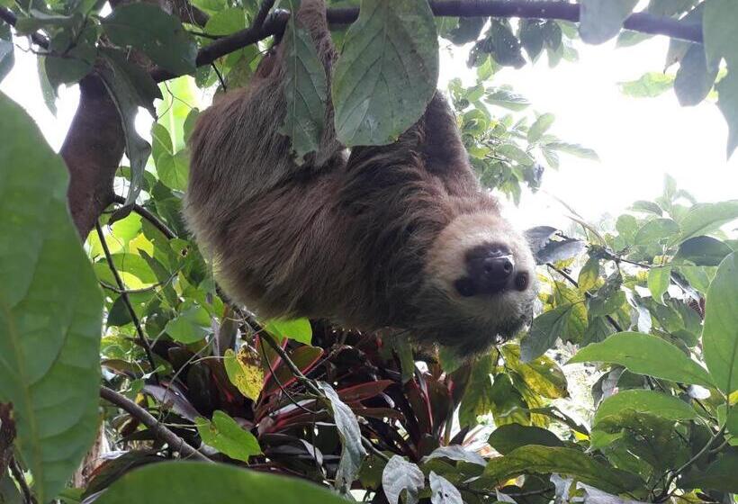 ویلای 2 خوابه, Bluff Beach Retreat