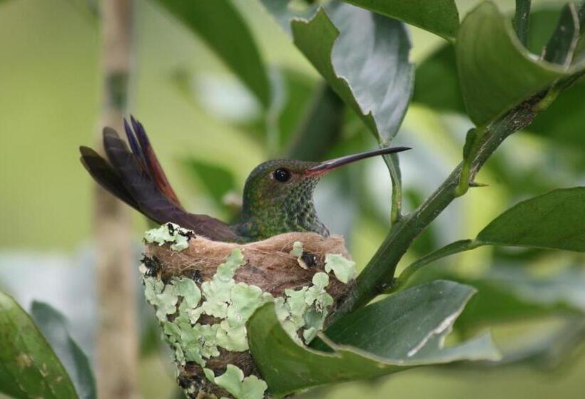 ویلای 1 خوابه, Bluff Beach Retreat