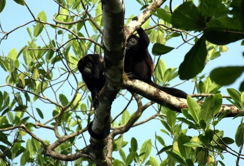 ویلای 1 خوابه با چشمانداز دریا, Bluff Beach Retreat