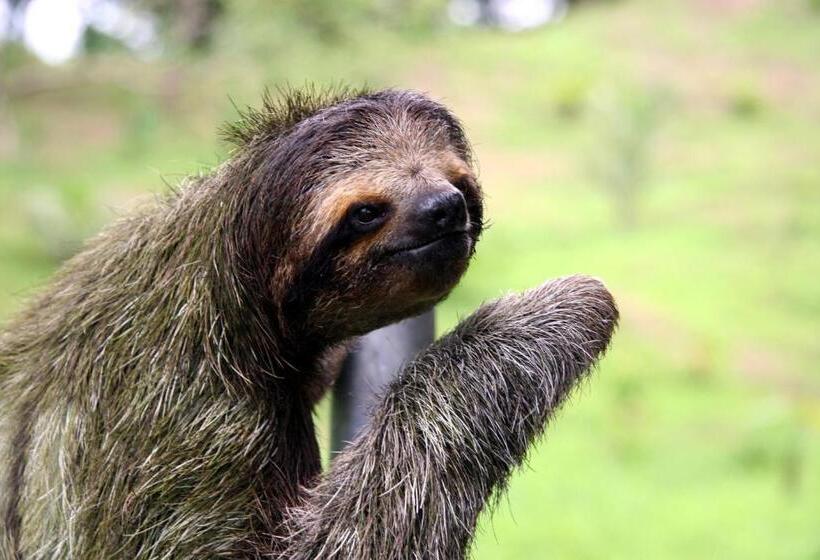 ویلای 1 خوابه با چشمانداز دریا, Bluff Beach Retreat