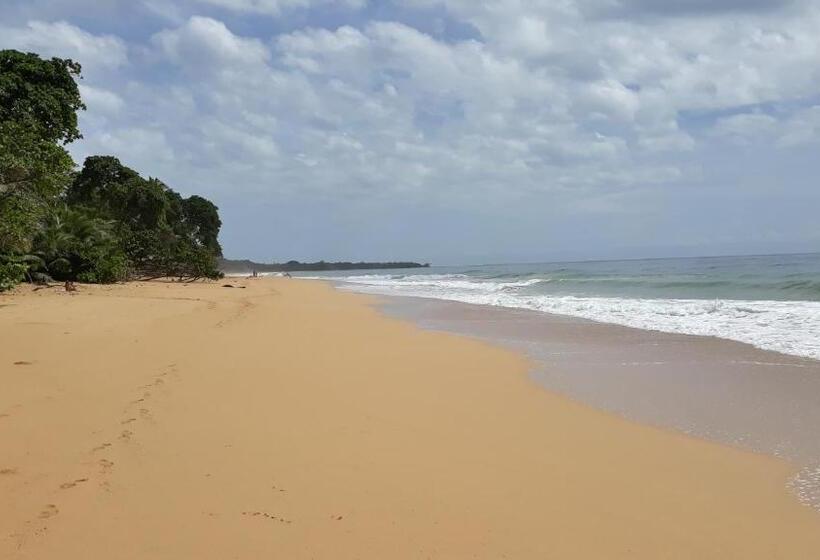 ویلای 1 خوابه با چشمانداز دریا, Bluff Beach Retreat