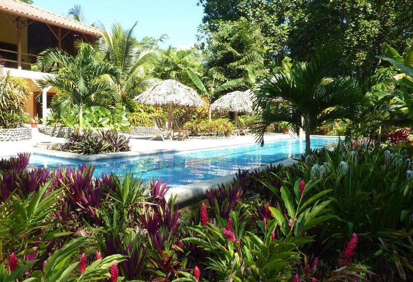 ویلای 1 خوابه با چشمانداز دریا, Bluff Beach Retreat