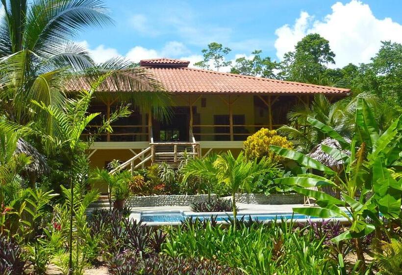 ویلای 1 خوابه با چشمانداز دریا, Bluff Beach Retreat